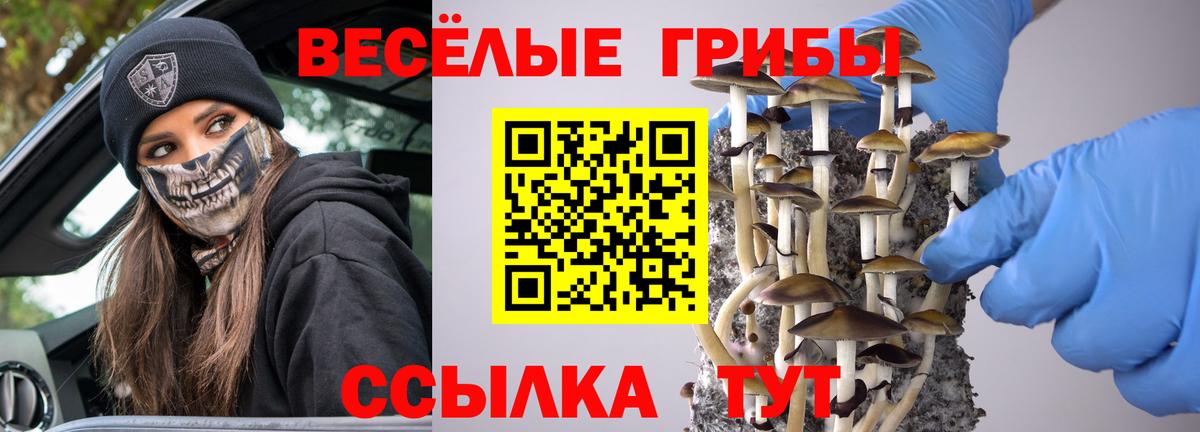 Галлюциногенные грибы ЛСД Нижний Новгород